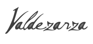 valdezarza-logo