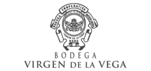 virgenvega-logo