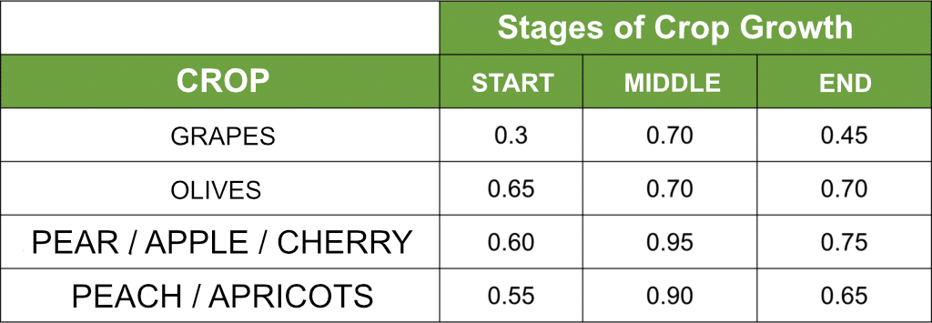 stages of crop growth