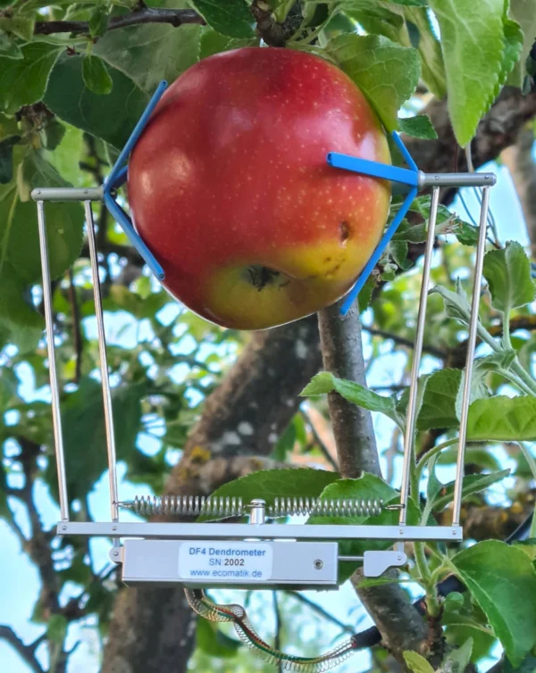 Ecomatik DF4 - Dendometry