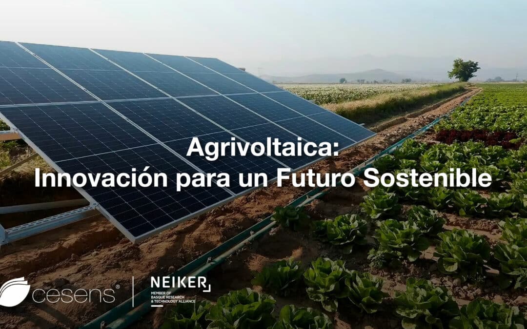 Agrivoltaica: Innovación para un Futuro Sostenible