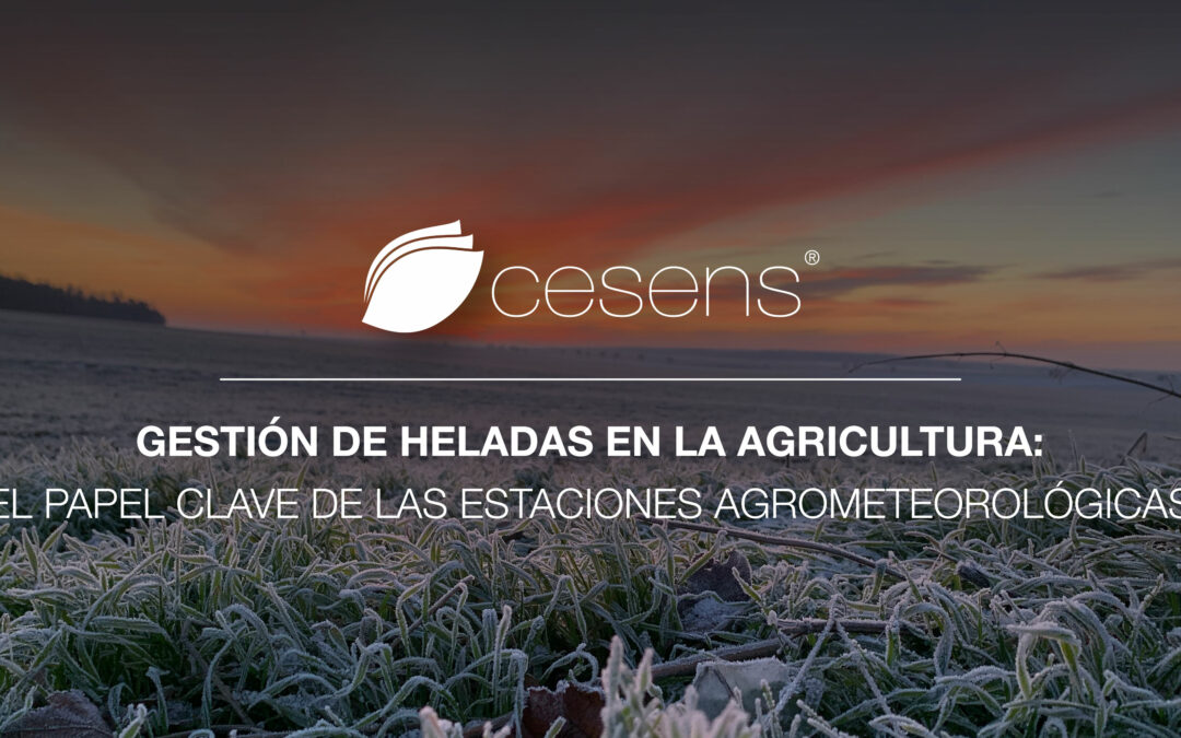 Gestión de Heladas en la Agricultura: El Papel Clave de las Estaciones Agrometeorológicas
