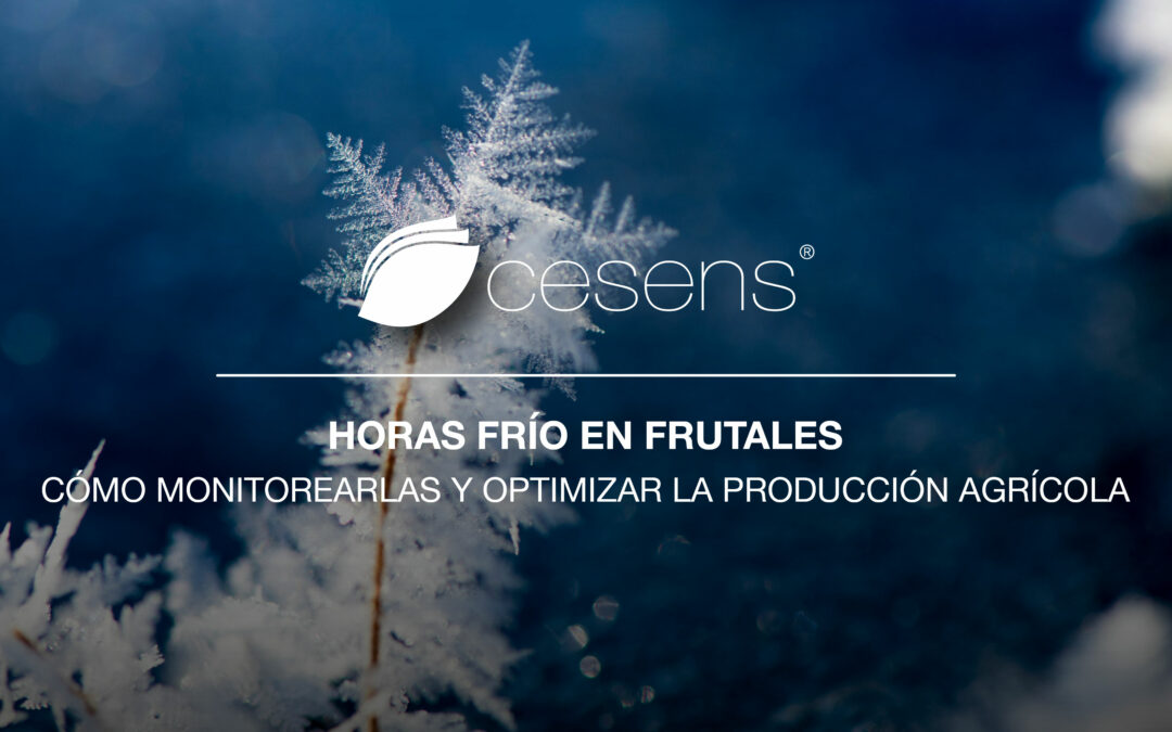Horas Frío en Frutales: Cómo Monitorearlas y Optimizar la Producción Agrícola