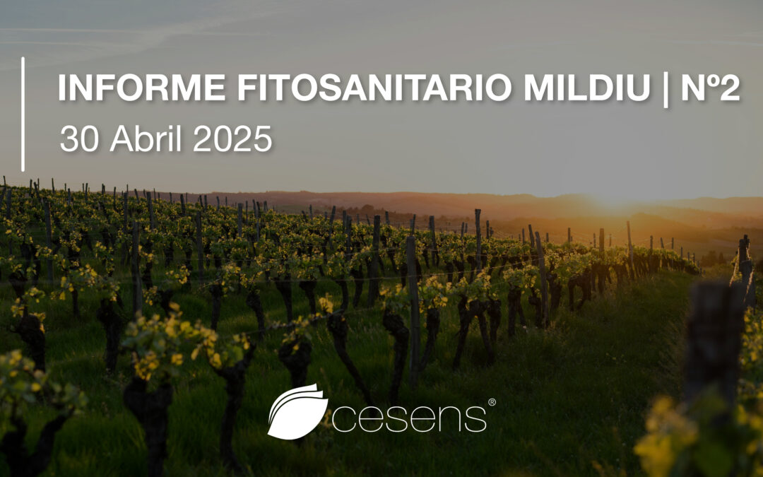 Informe fitosanitario Mildiu Nº2 | 30 Abril 2025
