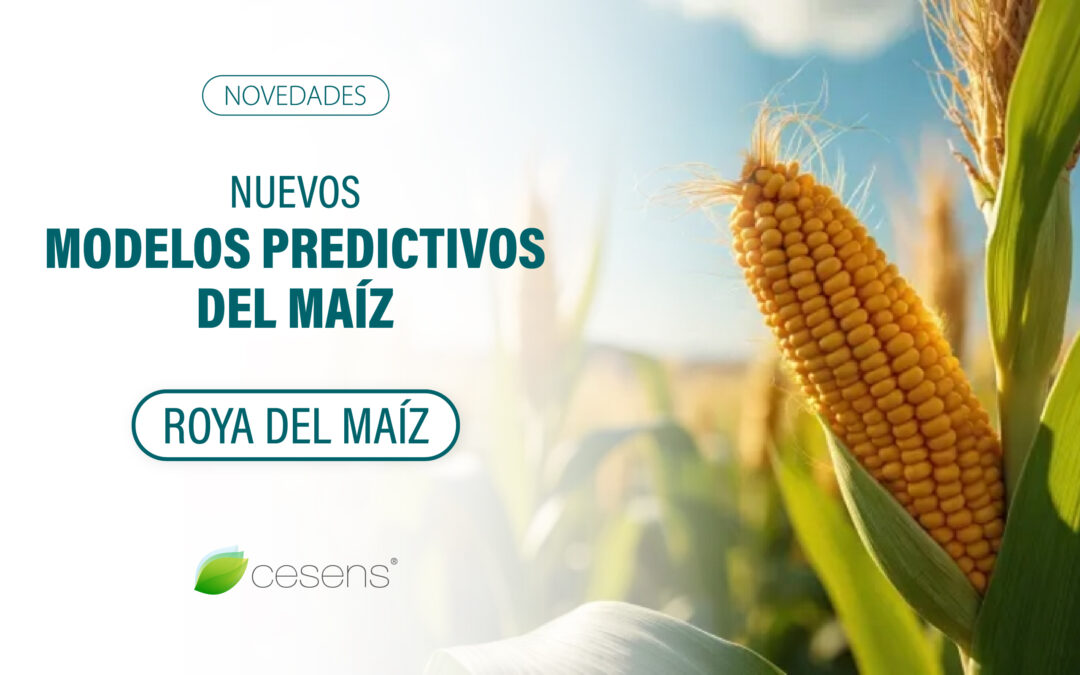 Predicción del Riesgo de Roya común en Maíz