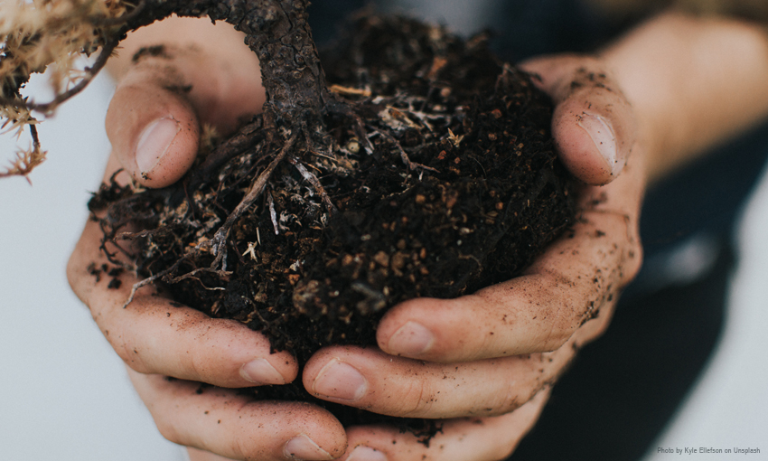 Organic matter as a potential sustainable method to tackle pests in crops