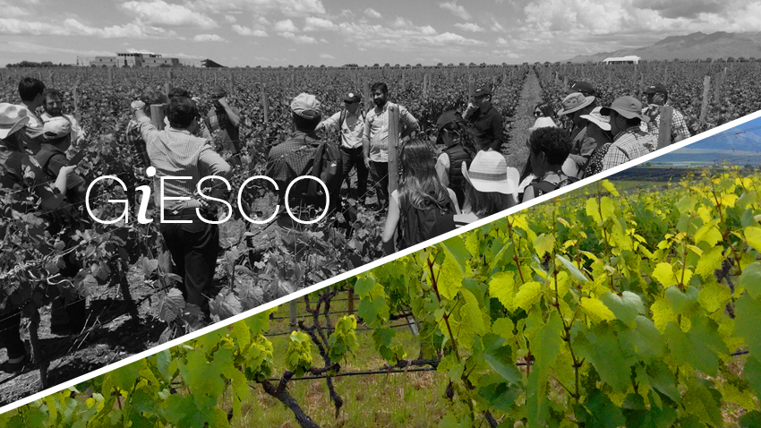 Participación riojana en la 20ª reunión Giesco (Mendoza, Argentina)