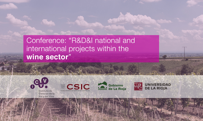 Conference: “R&D&I national and international projects within the wine sector”