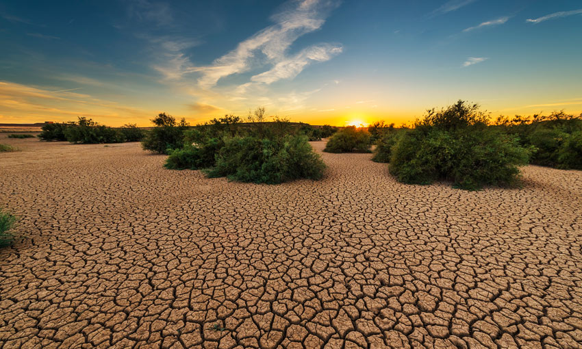 “Prevent and not only regret” the drought effects