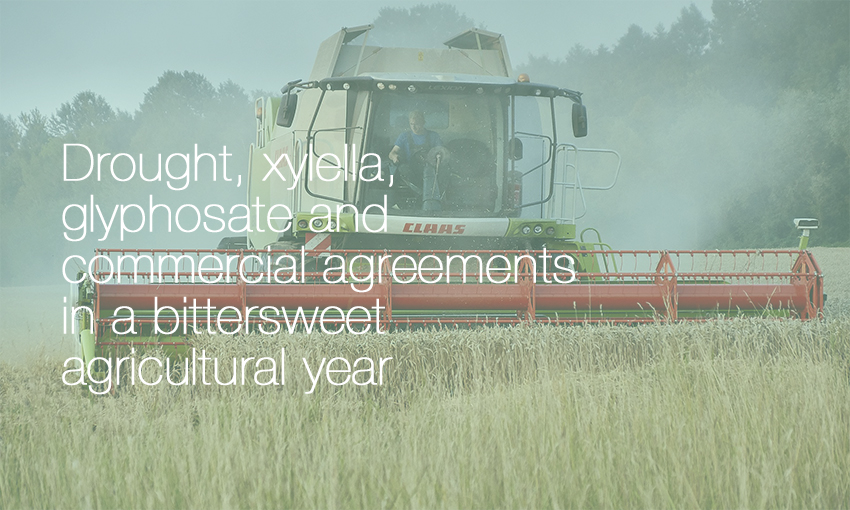 Drought, xylella, glyphosate and commercial agreements in a bittersweet agricultural year