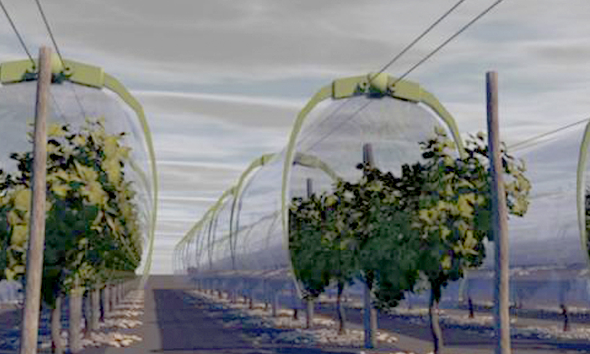 A tunnel that protects vineyards from rain and diseases will be tested in France